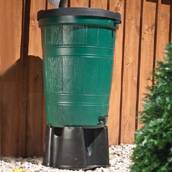 Rain Barrel