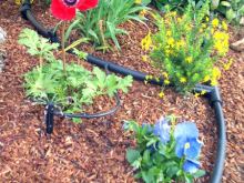 Drip Irrigation System