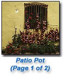 Patio1