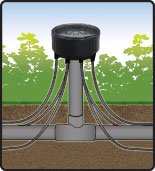 Drip System 6-Outlet Emitter