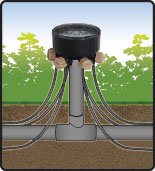 Drip System 6-Outlet Adjustable Emitter